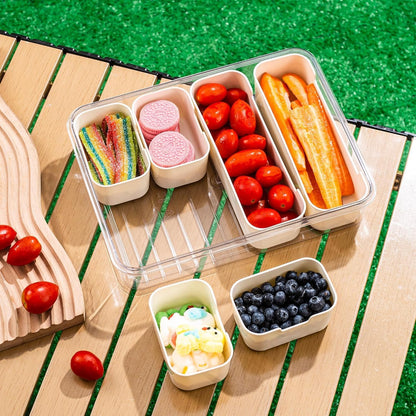 Divided Serving Tray with Lid and Handle